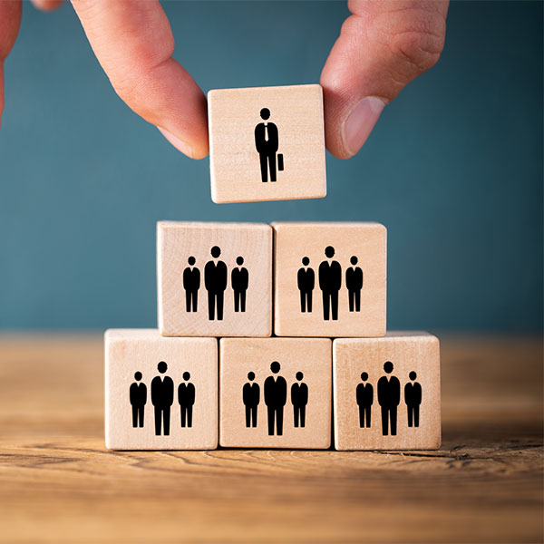 TEAMS & BUSINESS